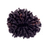 28 MM, Certified 14 Mukhi Natural Rudraksha Bead - ZeeDiamonds