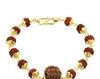 Six Faced Rudraksha Chain Bracelet with Gold Plated Capping - ZeeDiamonds